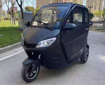 Auto Mini Electric Tricycle EEC Mini Car Auto Mini Electric Tricycle EEC Mini Car